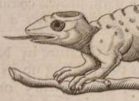 Detail. Wheler, George, Sir, 1650-1723.A journey into Greece ...de Beer Ec/1682/W 