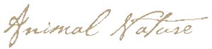 Animal Nature