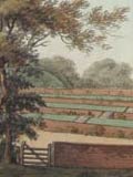Detail. Humphry Repton, Observations on the theory and practice of landscape gardening. London: Printed by T. Bensley for J. Taylor, 1803. deB Ee/1803/R.