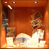 Reasons for travelling